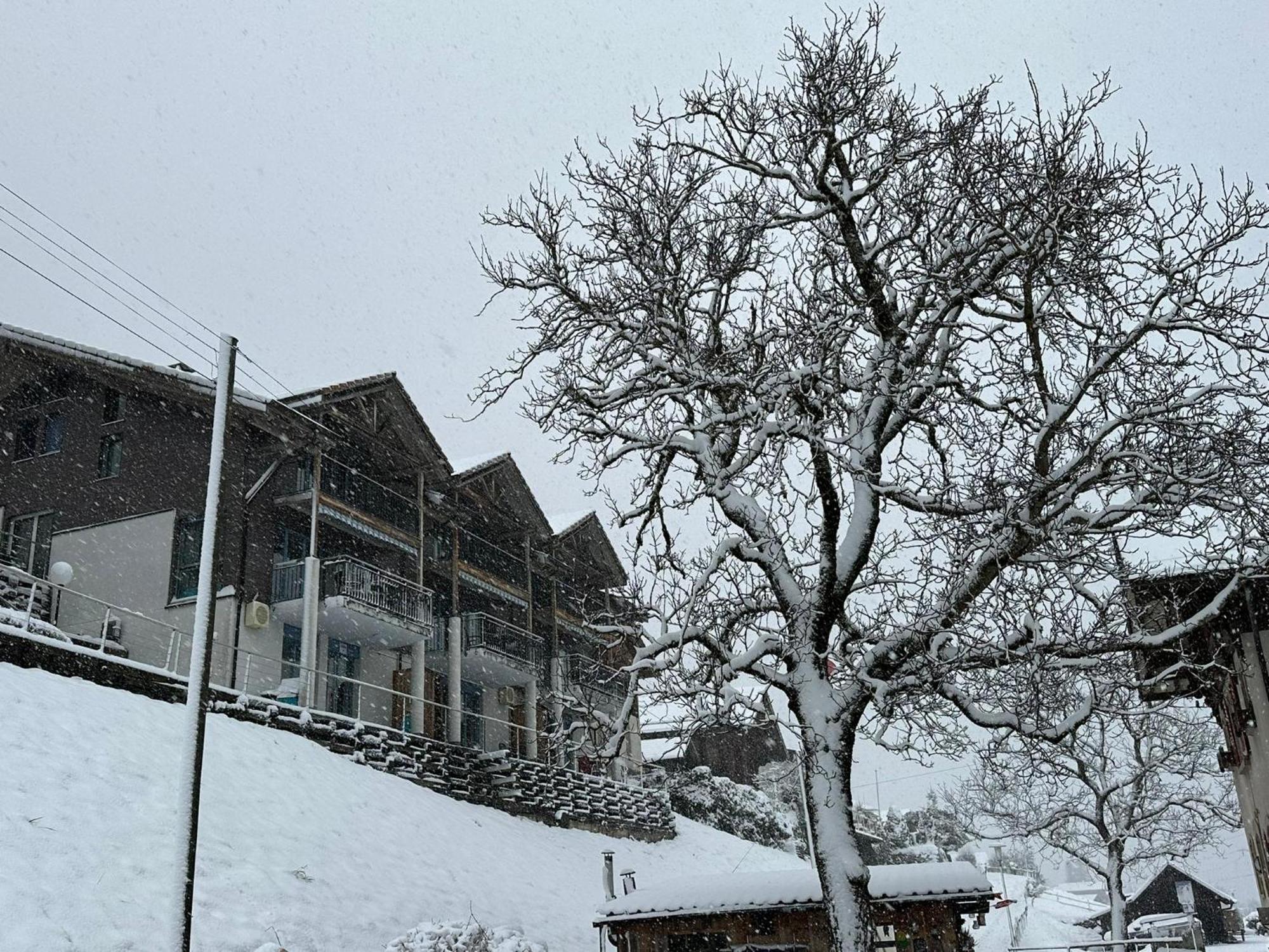 Lake Facing Studio نيدريد المظهر الخارجي الصورة