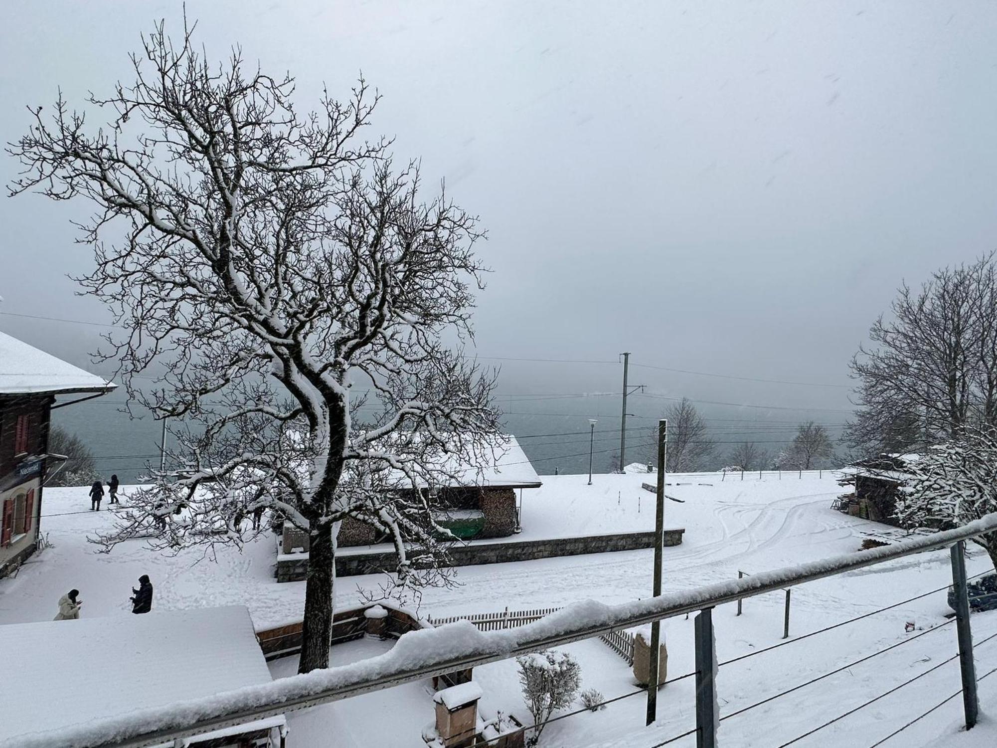 Lake Facing Studio نيدريد المظهر الخارجي الصورة